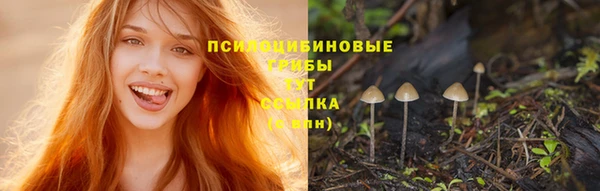ECSTASY Бугульма