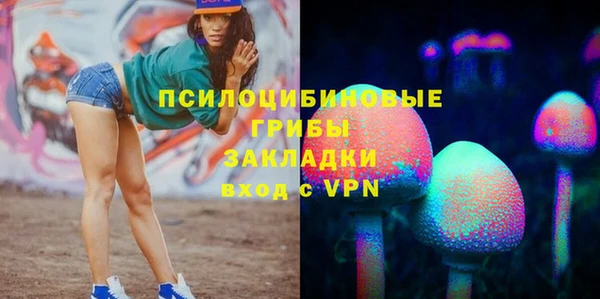 МДМА Бородино