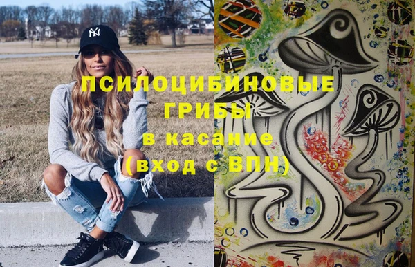 МДМА Бородино